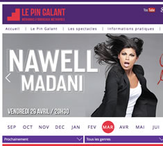 Le Pin Galant / site Internet